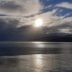 Rex Woods - @rjwkombi75 - Instagram