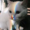 rex yeager - @rexyhytam - TikTok