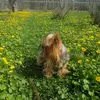 Hi - @rexpoocheveyork - TikTok