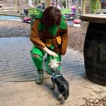Rex Murdock McDonnell - @rex_m_yorkie - Instagram