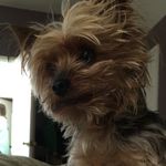 Rex (Lynette) - @rexford.johnson - Instagram