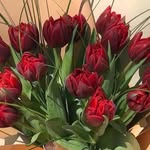 Rexhep Rexhepi - @rexhep328 - Instagram
