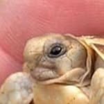 Rexhep Rexhepi - @rexhep.rexhepaj - Instagram