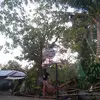 Rey Beltran - @rey.beltran2 - TikTok
