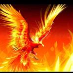 Rey Ocasio - Facebook