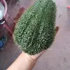 Rey Ortega - @rey.ortega63 - TikTok
