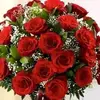 blanco reyes - @blanco.reyes - TikTok