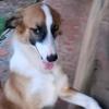 Reyes Herrera - @reyes.herrera2 - TikTok