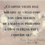 Reyes Lezama - Facebook