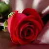 ordaz reyes - @ordaz.reyes4 - TikTok