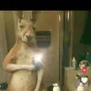 TU NIÑO💚 - @reymondsanchez - TikTok