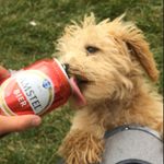 Reyna Allen - @erniebernie3752763 - Instagram