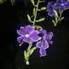 Reyna Allen - @reynaallen4 - TikTok