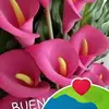 Reyna Alvarez - @reyna.alvarez63 - TikTok