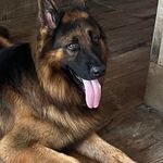 Reyna de Alvarez - @reyna.alvarez.3785 - Instagram