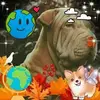 Reyna Ccora Camarena - @reyna.ccora.camar - TikTok