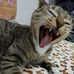 Reyna Centeno - Facebook