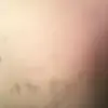 Reyna Johnson - @reyna.johnson47 - TikTok