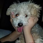 Reyna Leal - @reyna.leal.35912 - Instagram