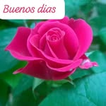 Reyna Manriquez Prieto - @reyna.manriquez - Instagram