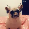 Reyna Maya - @lareynamaus - TikTok