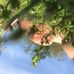 Reyna Mcfadden - Facebook