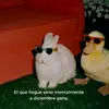 Reyna olivas - @reinaolivas4 - TikTok