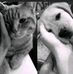 Reyna Ramos - Facebook