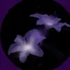 Reyna Ramos - @reyna.ramos32 - TikTok