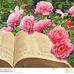 Reyna Ramos - Facebook