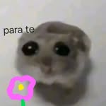 Reyna Melisa perez Razo - @melisap_7 - Instagram
