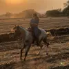 Reyna Rocha - @reynarocha6 - TikTok