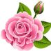 Reyna Rojas - Facebook