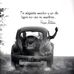 Reyna Suarez - Facebook