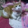 Reyna Vences - @reyna.vences8 - TikTok