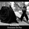 reynelgonzalez847 - @reynelgonzalez847 - TikTok