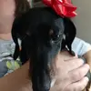 rheandrahbain - @rheandrahbain - TikTok