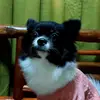 Rhea Bernal - @user5786720299052 - TikTok