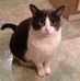 Rhea Dalton - Facebook