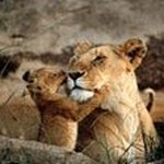 Rhea Harrison - @rhea_harrison - Instagram