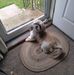 Rhea Lynch - Facebook