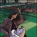 Rhea Marshall - Facebook