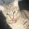 Rhea - @rheareed - TikTok