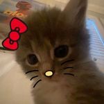 amia rhea richards - @amia_lovesyou_07 - Instagram
