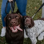 Bailey & Rhett - @baileyandrhett - Instagram