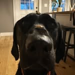 Rhett Bailey - @rhett0228 - Instagram