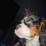 Rhett - @rhett_bailey12 - Instagram