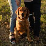 Rhett - @rhett.hartnett - Instagram