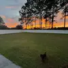 officialrhettmorgan - @officialrhettmorgan - TikTok