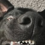 Rhett Oliver-Douglas Herald - @retharold - Instagram